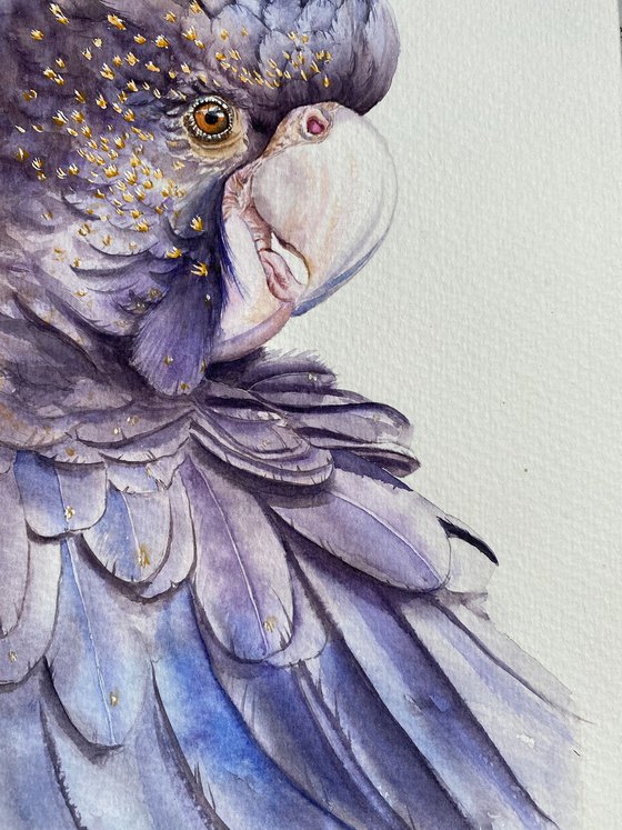 Sunlit Cacado, A Playful Glimpse of Nature in Watercolour