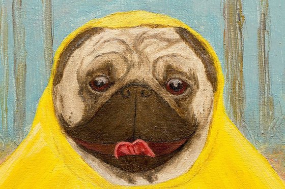 Wet but happy! Pug oil portrait