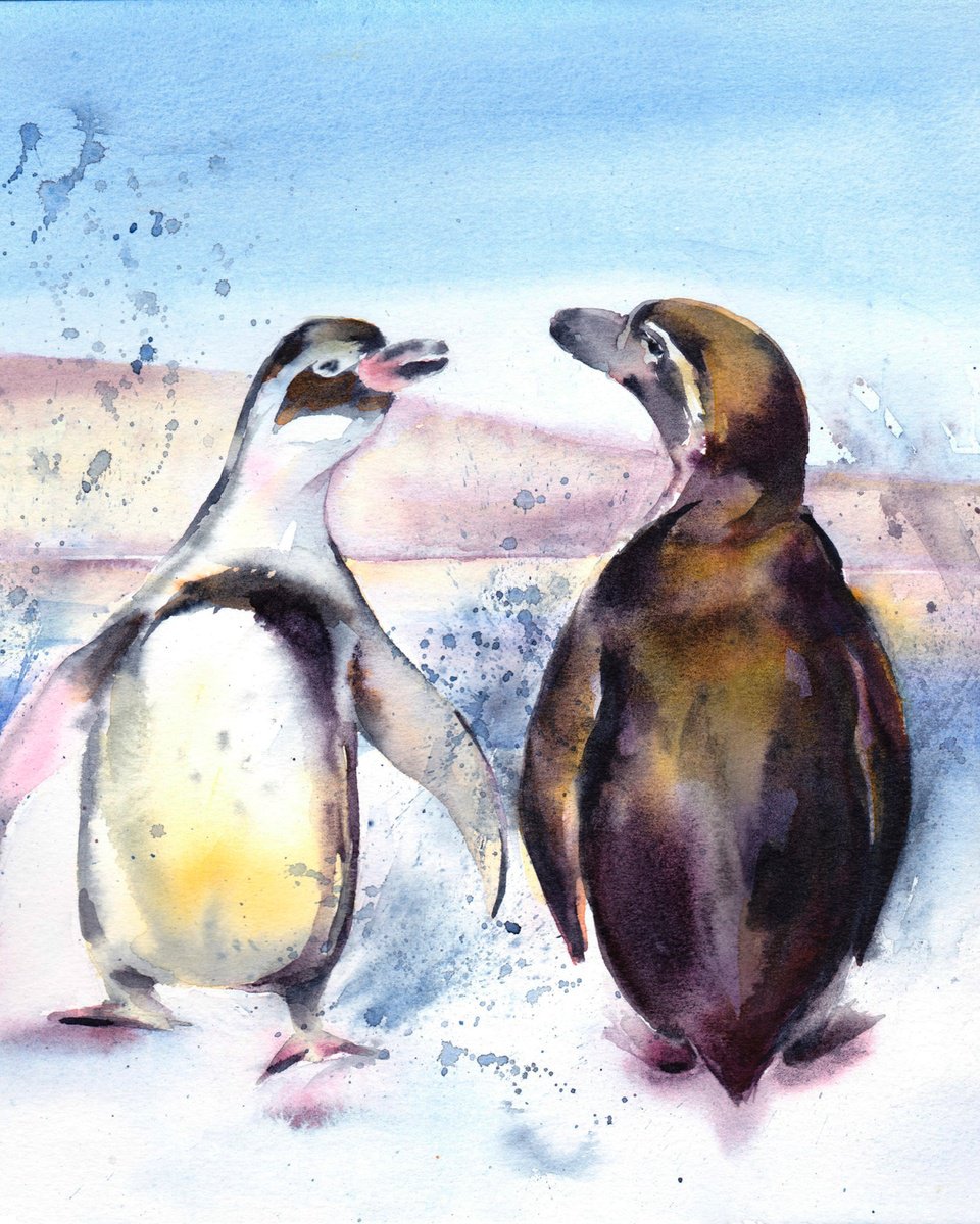 Humboldt Penguins by Anjana Cawdell