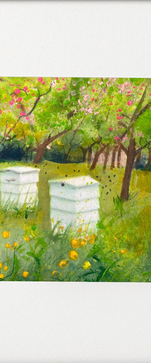 Beehives bees & blossom by Teresa Tanner