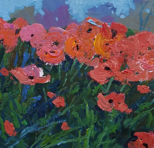 Poppies by Sergey  Kachin