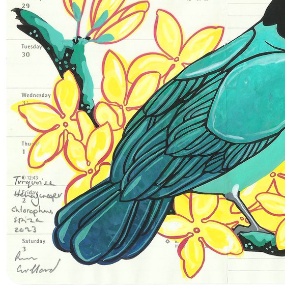 Birds of South America: Turquoise Honeycreeper and Forsythia