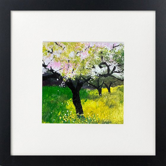 Daffodils in the orchard