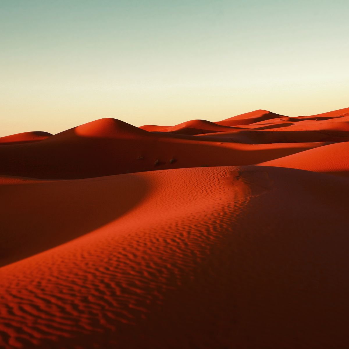 Desert Love by Nadia Attura