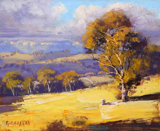 Gum trees in Summer Australian Landscape
