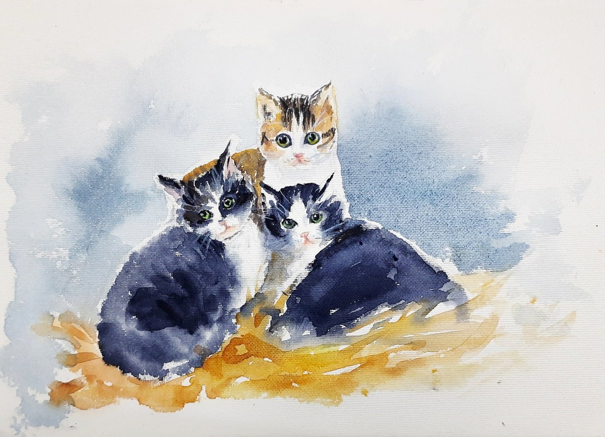 Expressive Watercolour , Three Little Kittens By Asha Shenoy, 11 X 8, Artwork For Sale On Artfinder