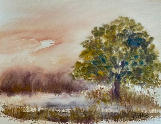 Summer Oak