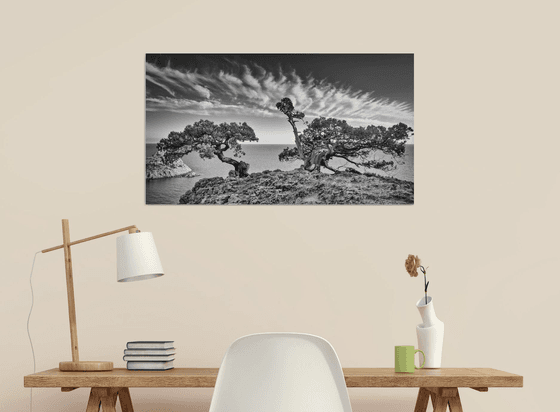 Guardians of the Cliff