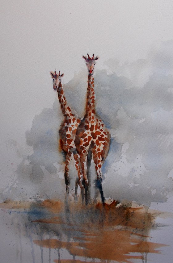 giraffes 2