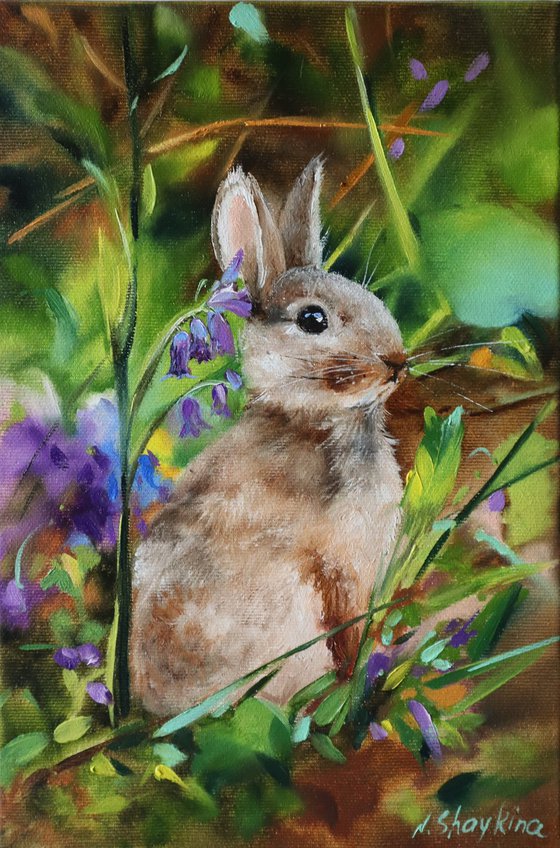 Bunny Animal Painting