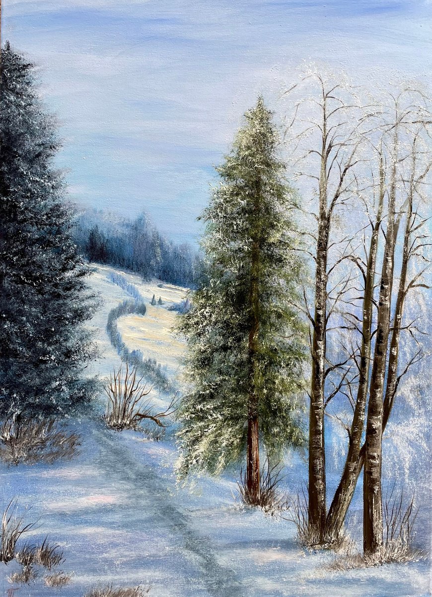 Snowy winter by Tanja Frost