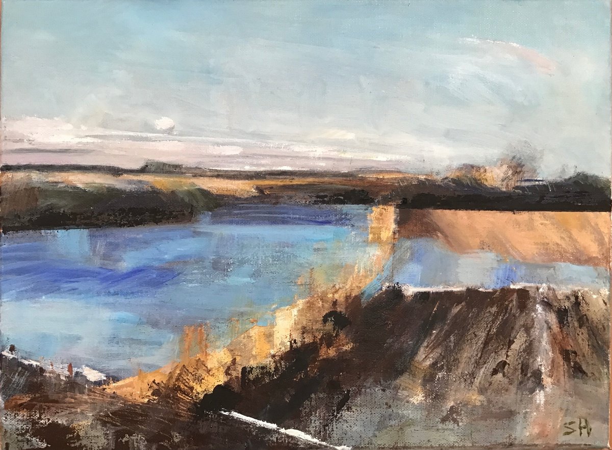 Organic Landscape Oil Painting By Sandra Haney, 16 X 12", Tadcaster - Ulleskelf, Original Artwork