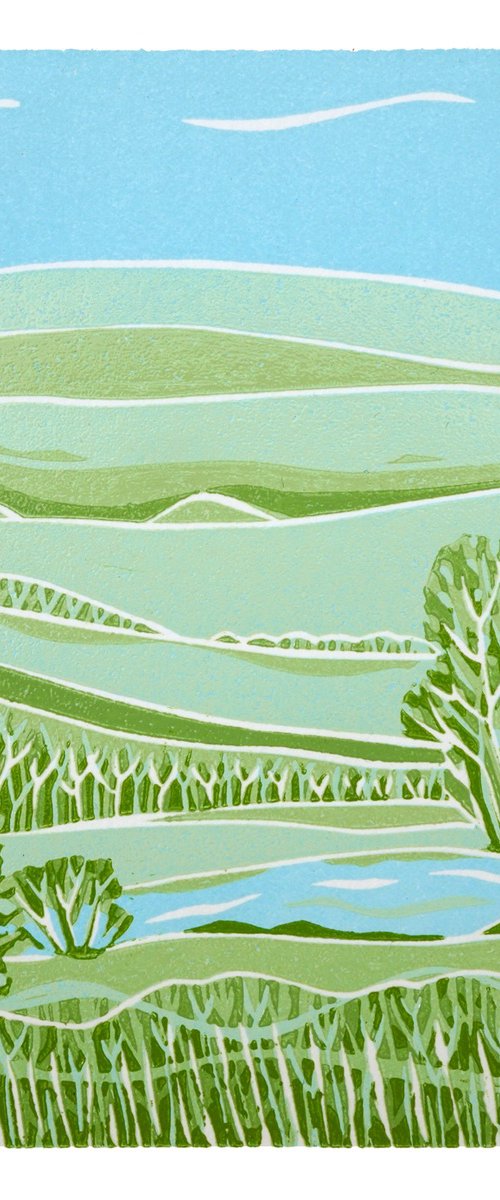 South Downs II by Rosemary Jones