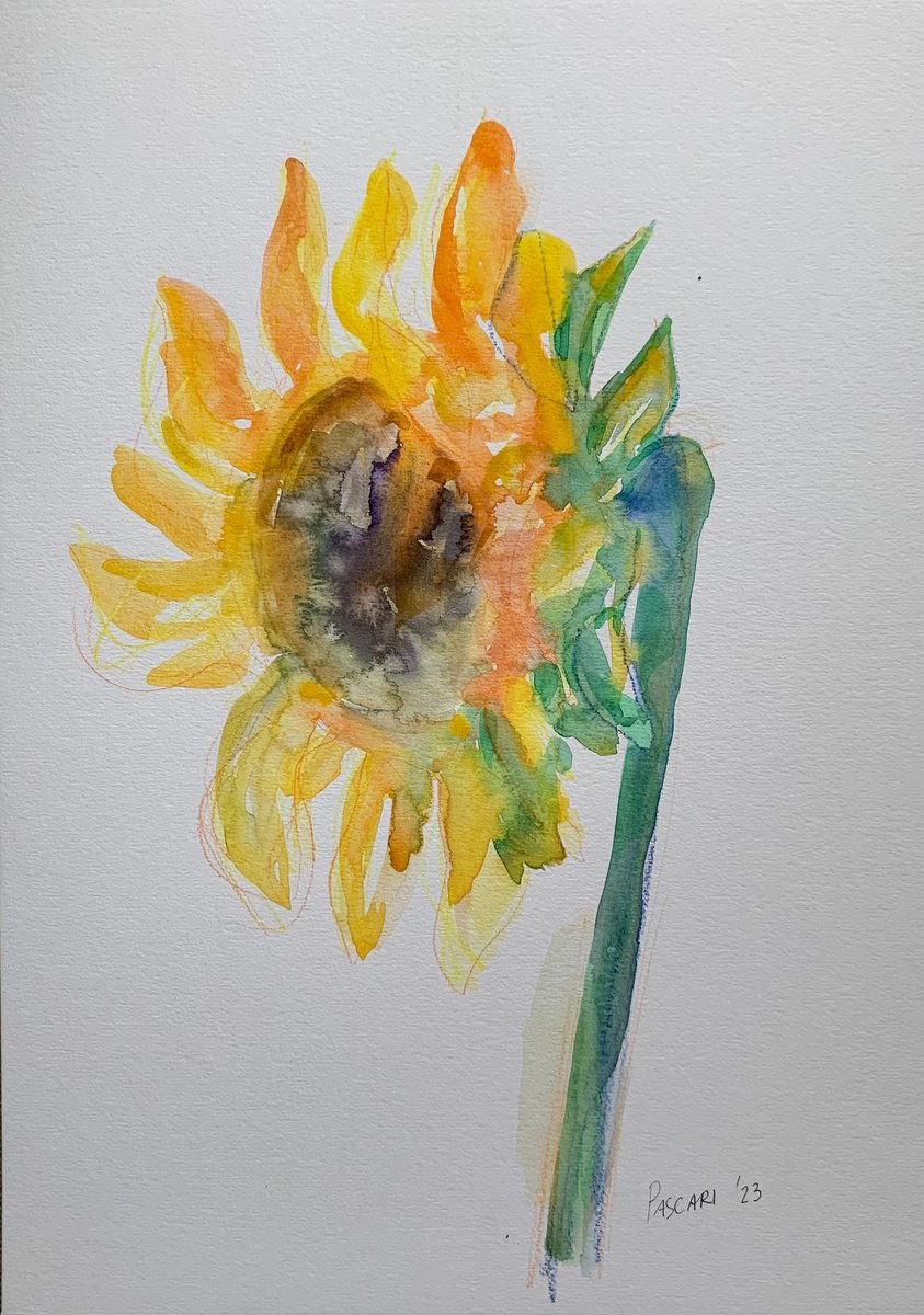 Impressionistic Still Life Watercolour By Olga Pascari, 11 X 16", Sunflower, Original Artwork