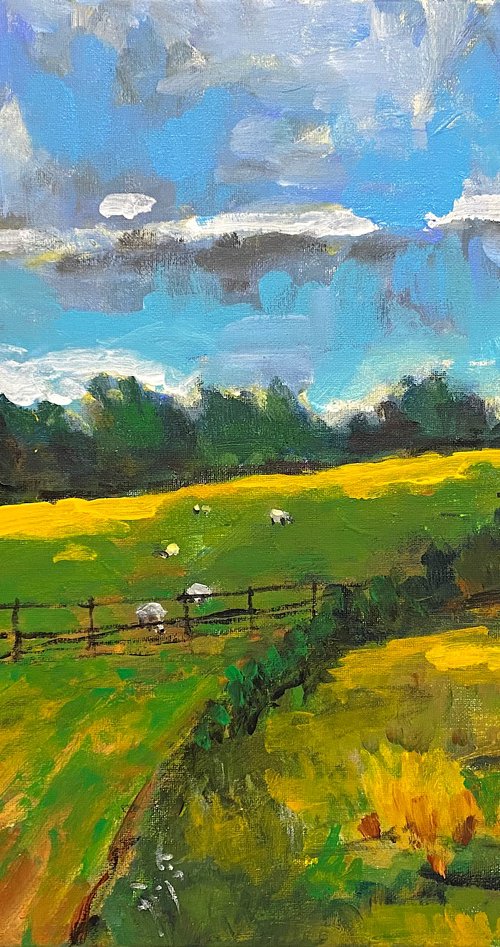 Irish Countryside by Mutlu Ertac