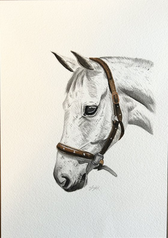 Watercolour horse