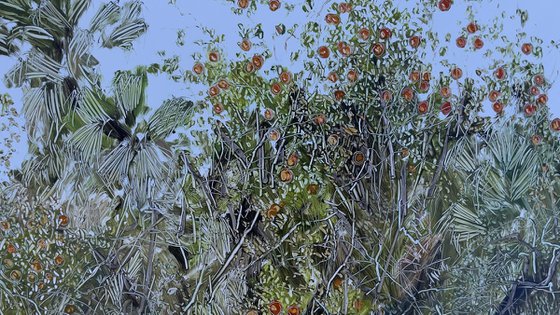 An Abandoned Spanish Orange Orcha