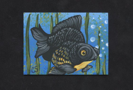 ACEO ATC Original Painting Black Moor Goldfish Pet Fish Art-Carla Smale