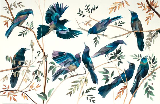 Grackles