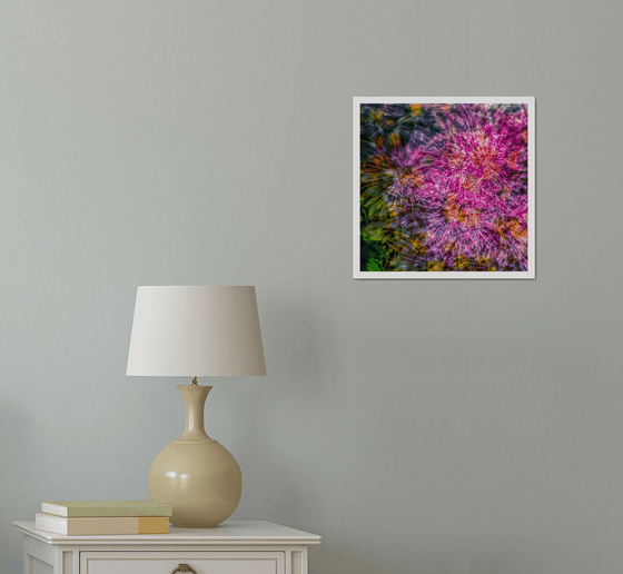 Abstract Flowers #6. Limited Edition 1/25 12x12 inch Photographic Print.