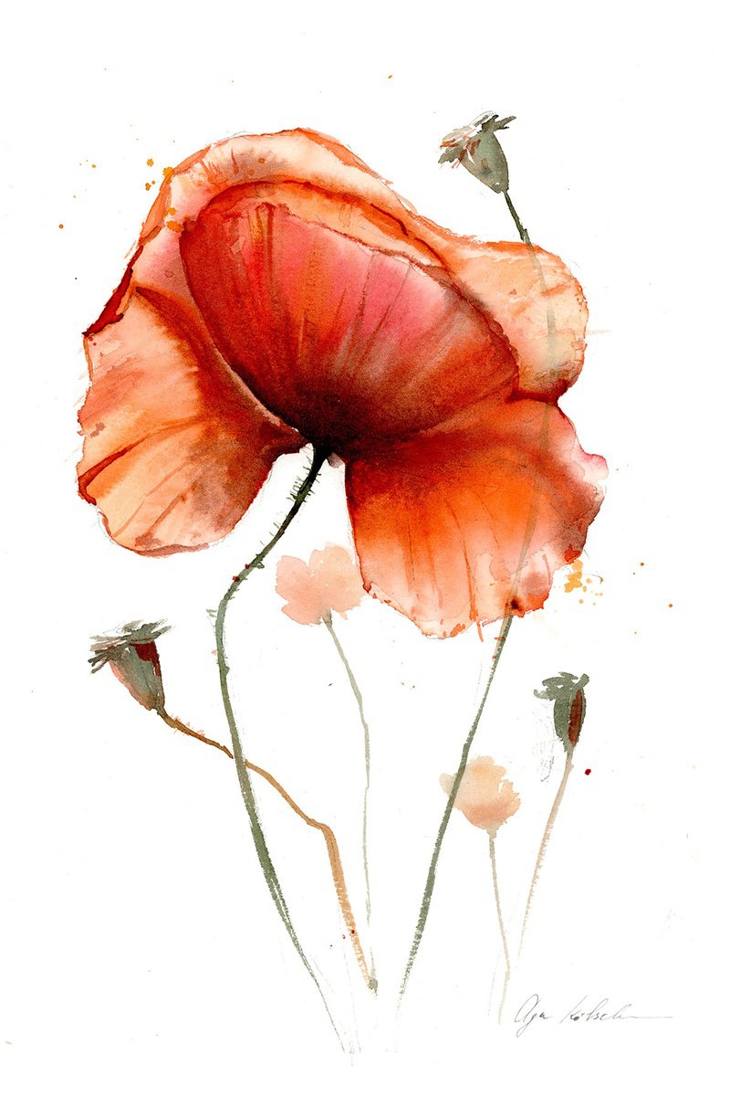 Impressionistic Botanical Watercolour By Olga Koelsch, 7 X 10", Watercolor Bright Poppy, Original Artwork