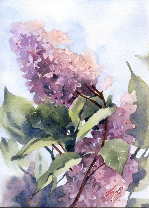 Watercolour lilac, small painting from the Lilac Garden by Yulia Evsyukova