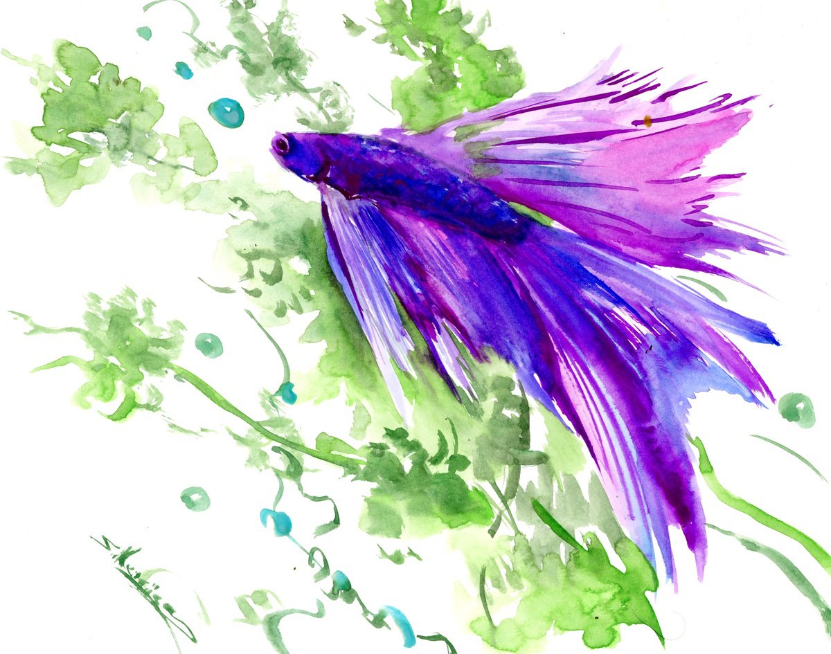 Betta Fish by Suren Nersisyan