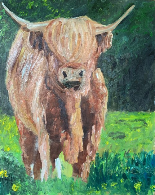 Highland Cow by Ryan  Louder