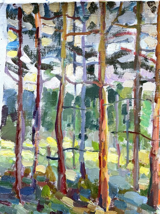 Pines in Imatra