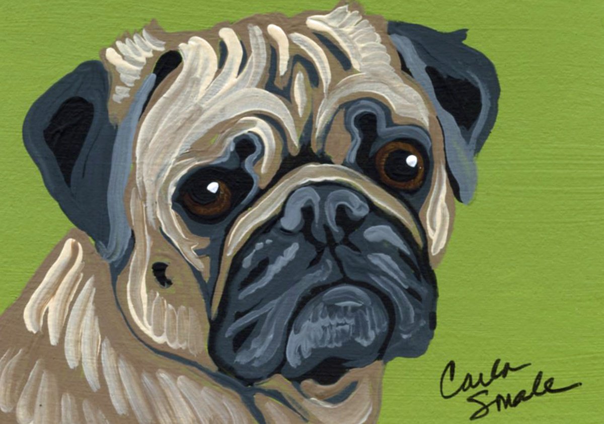 Fawn Pug by Carla Smale