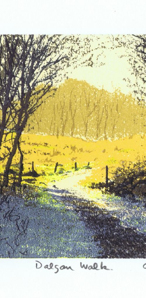 Dalgan Walk by Aidan Flanagan Irish Landscapes