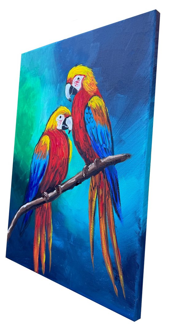 Vibrant Macaws