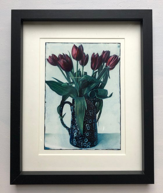 Dark Tulips