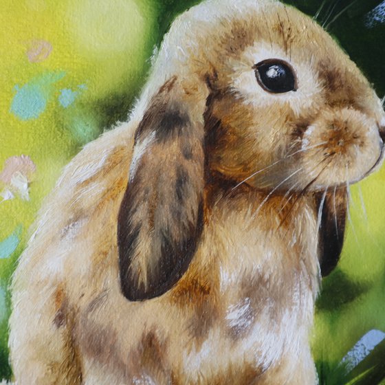 Little Bunny in Spring Light