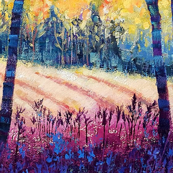 Sunbeams in the forest