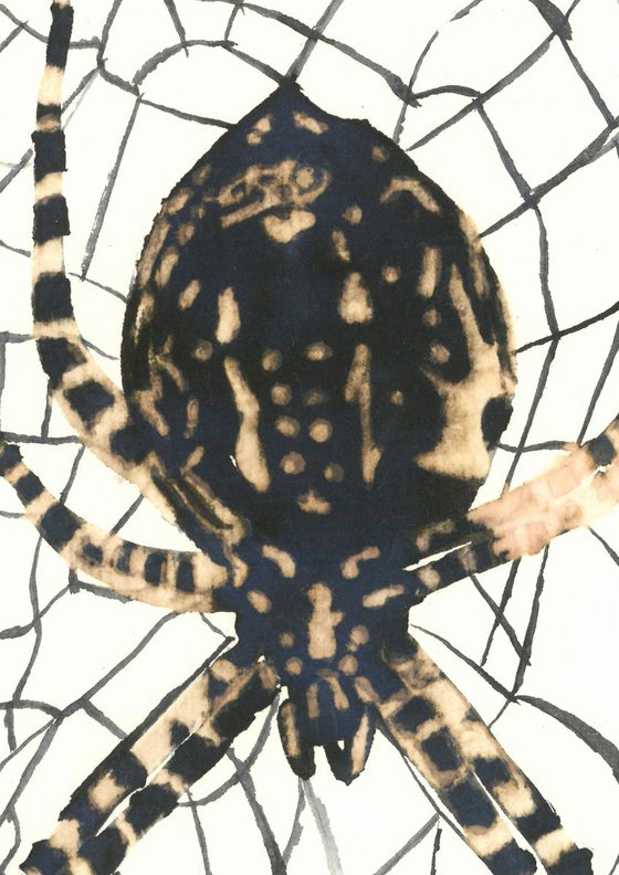 Spider I Animal Drawing