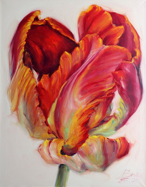 red parrot tulip by Catherine Braiko