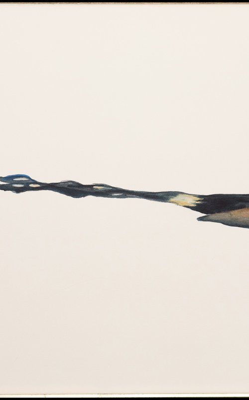 Chrysothemis by Bruce Robbins