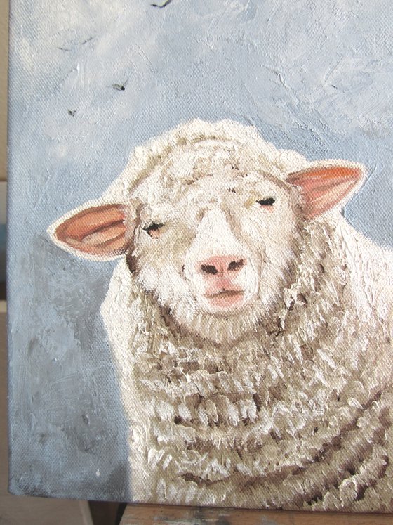Curious Sheeps