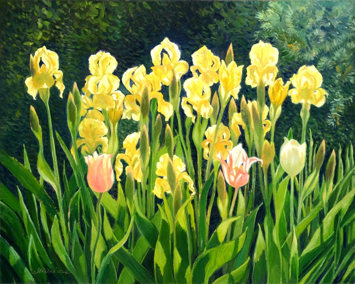 Impressionistic Botanical Oil Painting By Richard Mierniczak, 39 X 31", Yellow Irises, Original Artwork