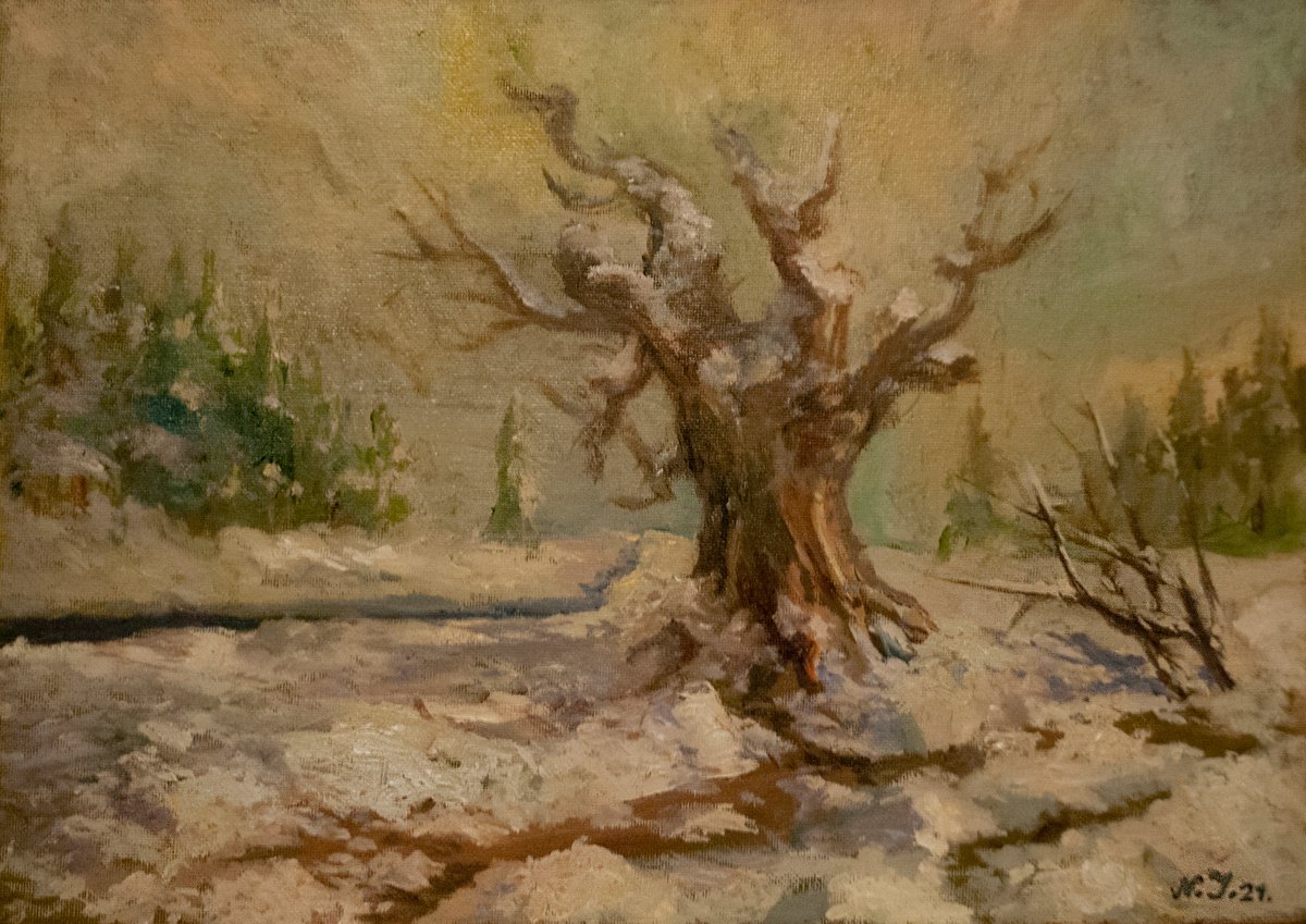 Hangman`s Tree Ii By Nikola Ivanovic, 14 X 10, Artwork For Sale On Artfinder