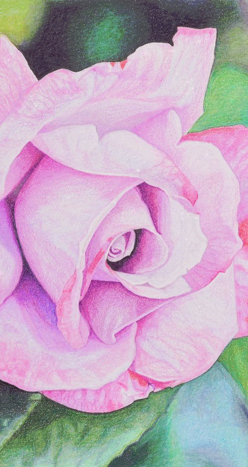 Soft Bloom by Paramjeet Kaur