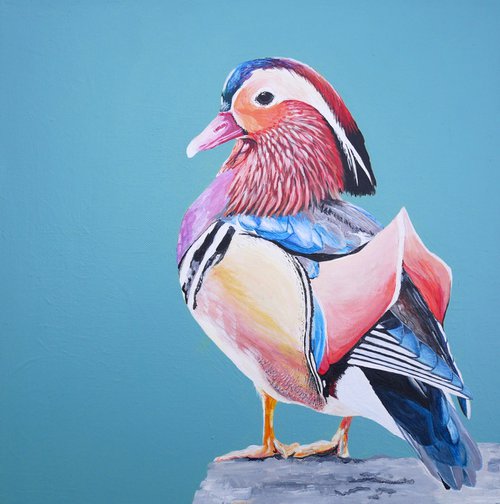Mandarin Duck by Sally Burrow