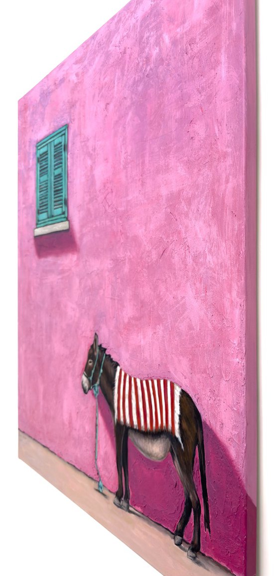 Textured Walls - Donkey