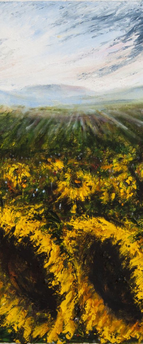 Sunflowers. by Leo Baxiner