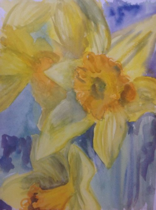 Daffodils by Sandra Haney