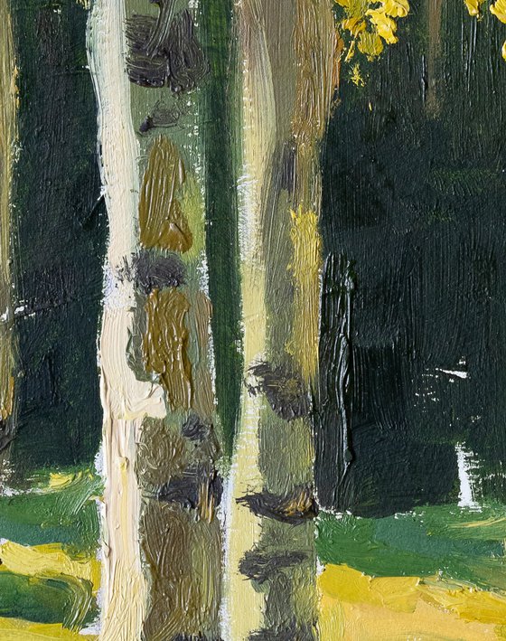 Oil painting sketch with birches.