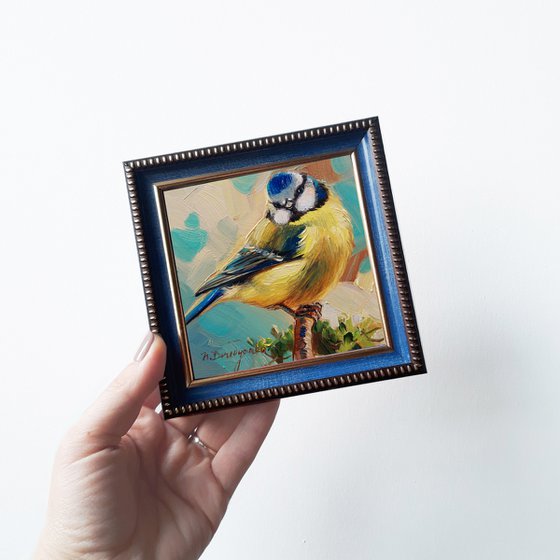 Blue bird painting original art 4x4, Little bird artwork in frame, Framed art of Blue tit bird, Pocket bird picture Christmas gift