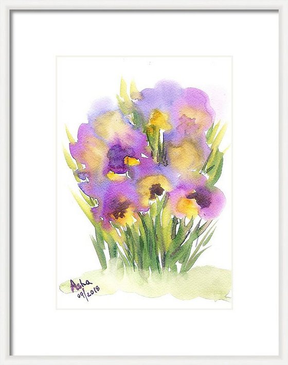 Pansies