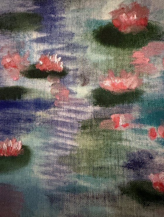 Dreaming water lilies